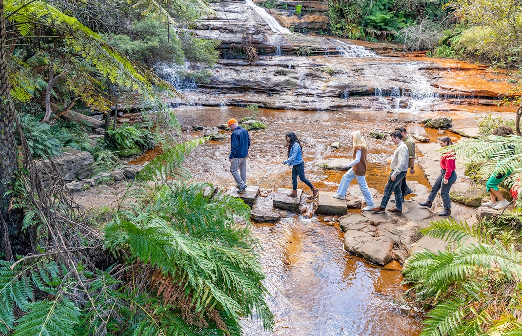 Guided Bushwalks