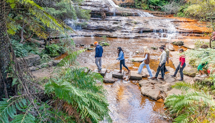 Explore the Blue Mountains