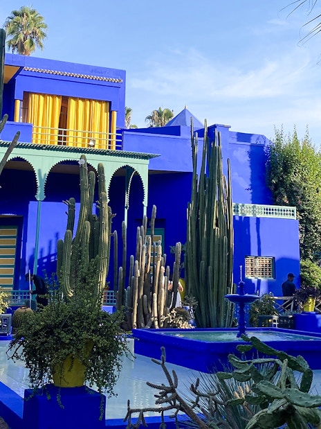 Jardin Majorelle's vibrant blue villa surrounded by tall cacti and lush greenery.