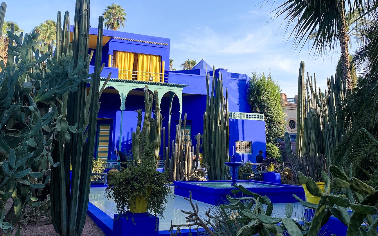 Jardin Majorelle's vibrant blue villa surrounded by tall cacti and lush greenery.