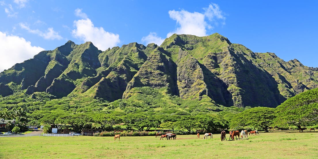 Kualoa Ranch
