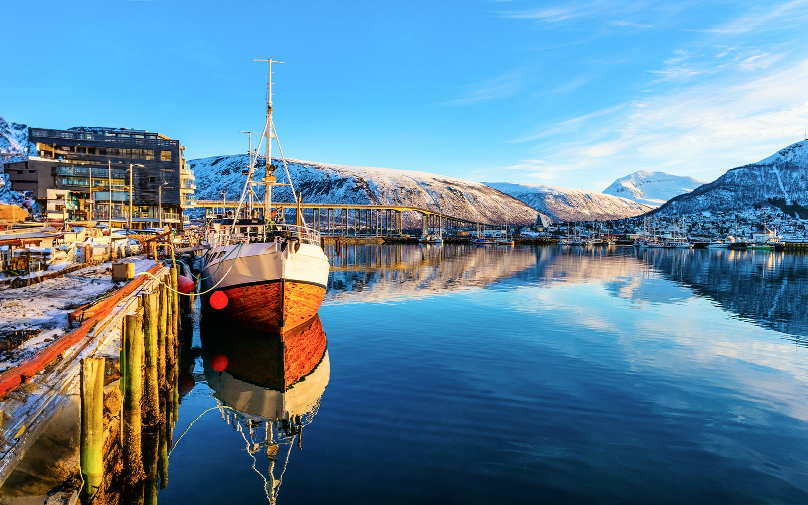 RIB boat docked in Tromso harbor with snowy mountains in the background, Norway.
