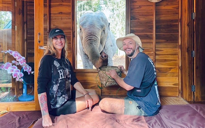 Elephant interacting with visitors inside Chiang Mai sanctuary cabin.