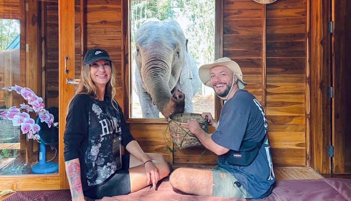 Elephant interacting with visitors inside Chiang Mai sanctuary cabin.
