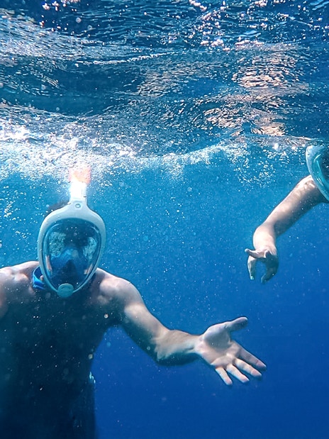 Snorkelers exploring underwater in Elaphiti Islands.