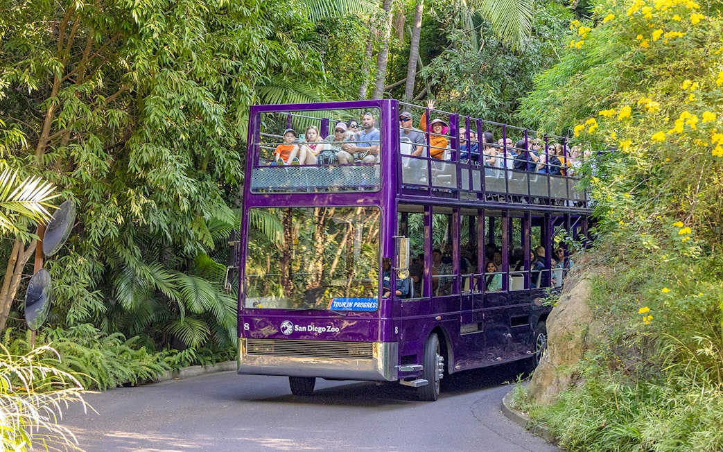 Double-decker bus tour at San Diego Zoo amidst lush greenery.