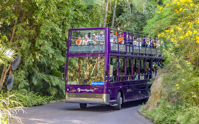 Double-decker bus tour at San Diego Zoo amidst lush greenery.