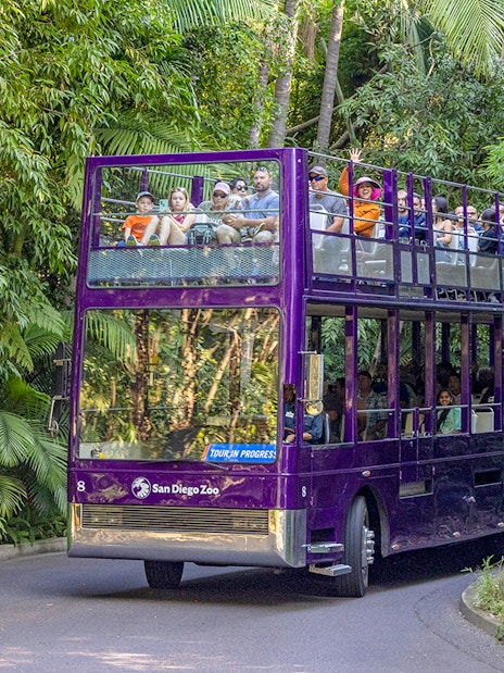 Double-decker bus tour at San Diego Zoo amidst lush greenery.