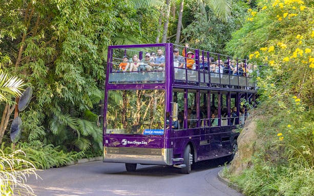 Double-decker bus tour at San Diego Zoo amidst lush greenery.