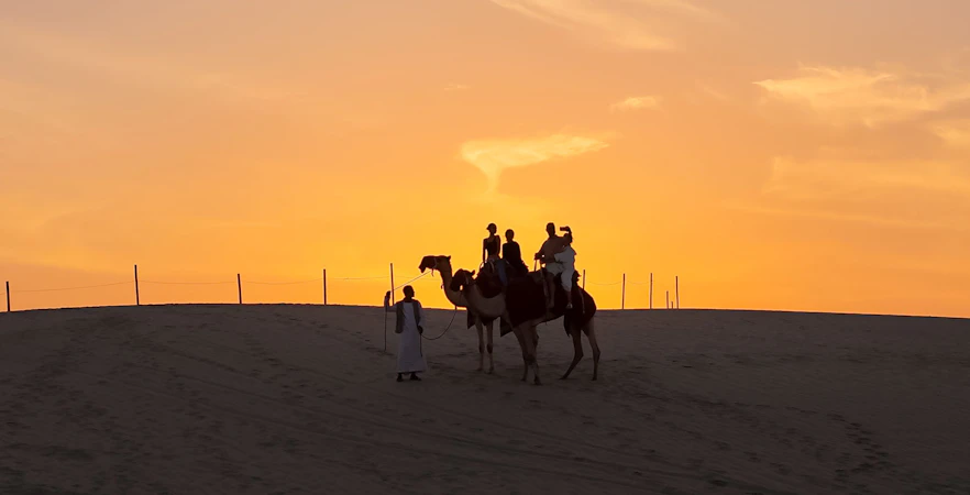 Camel ride at sunset in Doha desert.