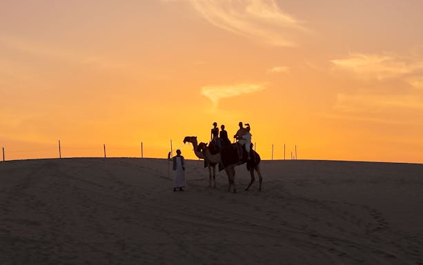Camel ride at sunset in Doha desert.