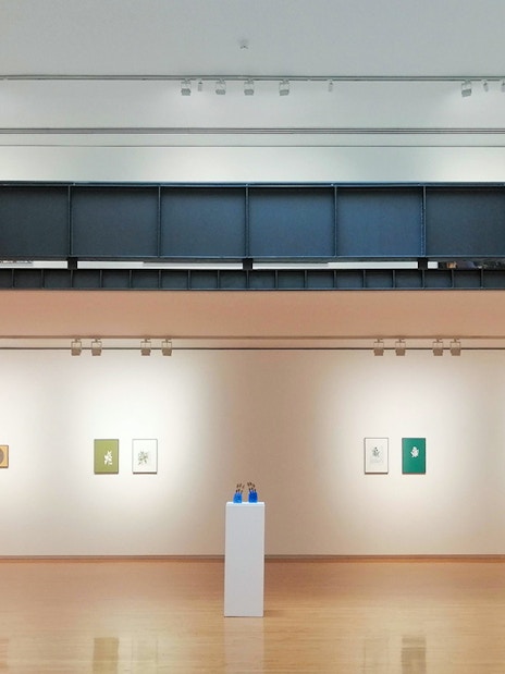 Exhibition room at Sala Parès in Barcelona featuring Picasso artworks on display.