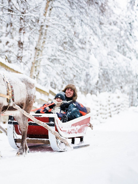 Reindeer pulling a sled with two people through snowy forest in Lapland.