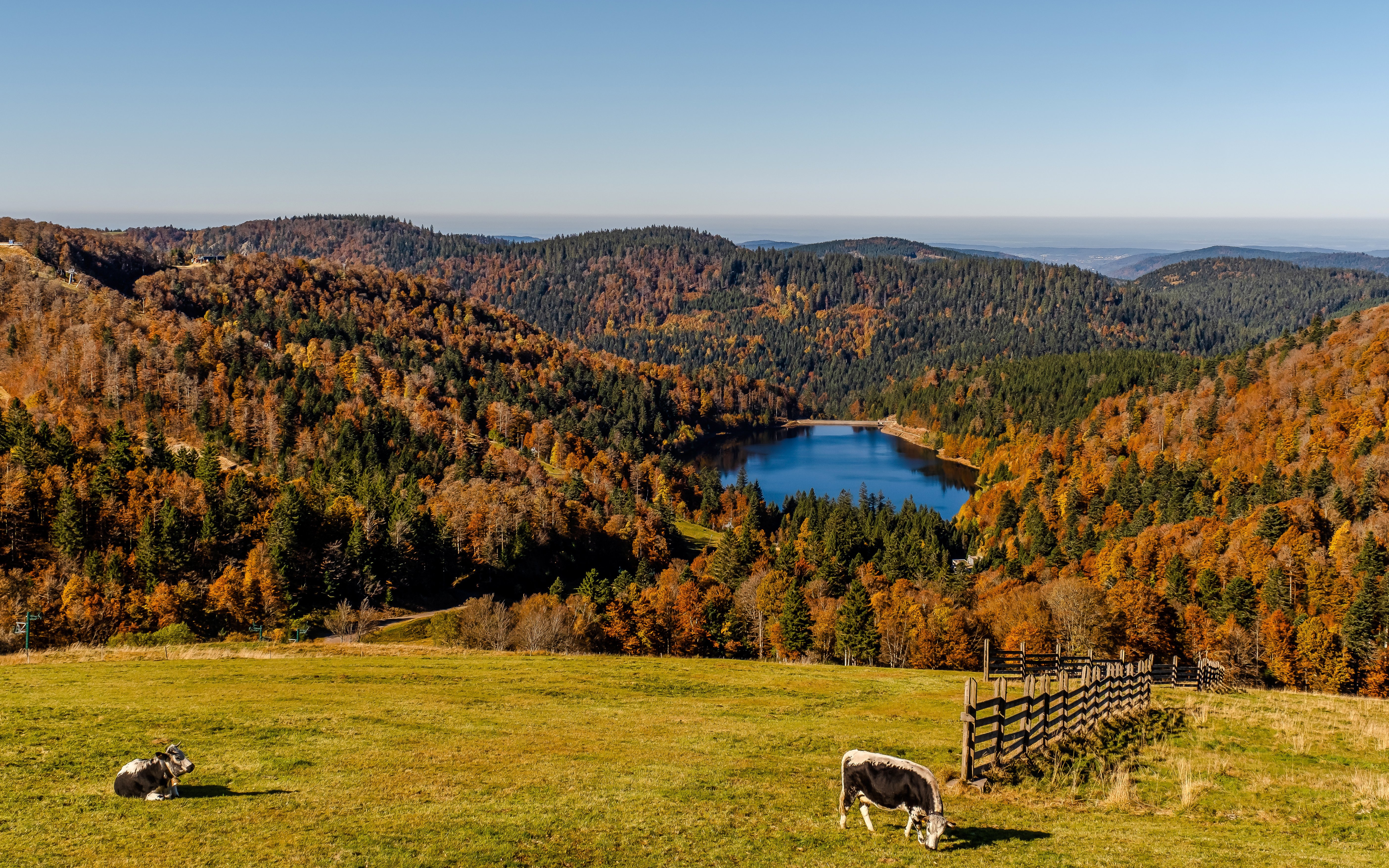 French autumn landscape