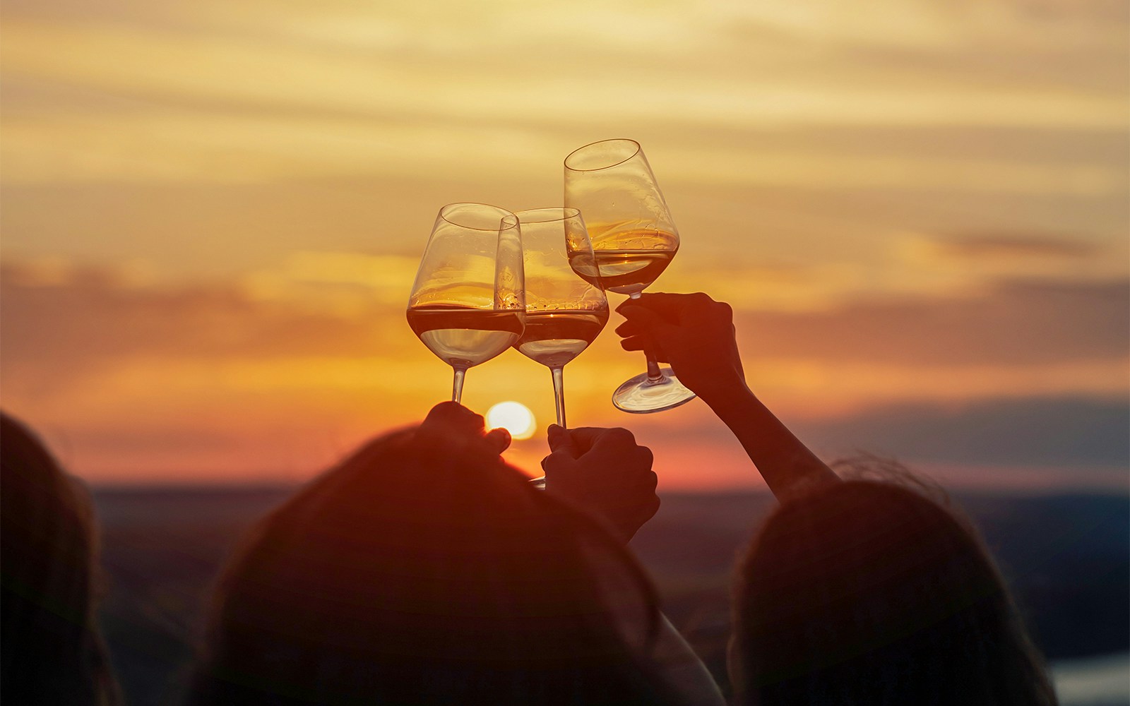 Toasting with wine glasses at sunset during a day trip in Spain.