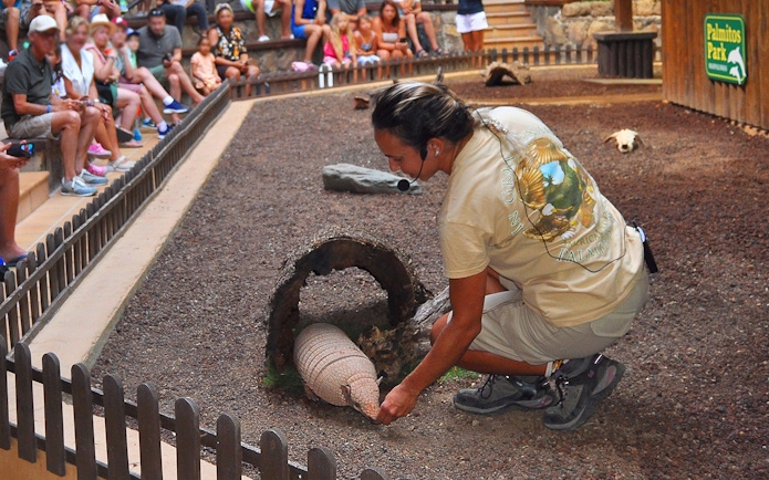 Tourist observing armadillo show at Palmitos Park.