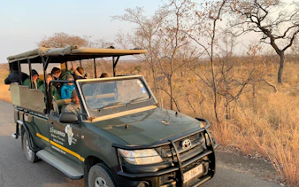 4x4 open vehicle on safari tour with guide in African savanna.