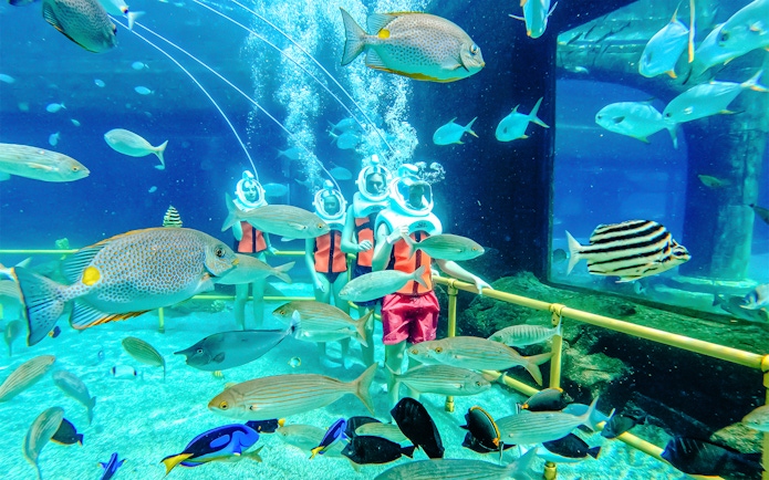 Underwater adventure with divers and fish at The Land of Legends theme park.