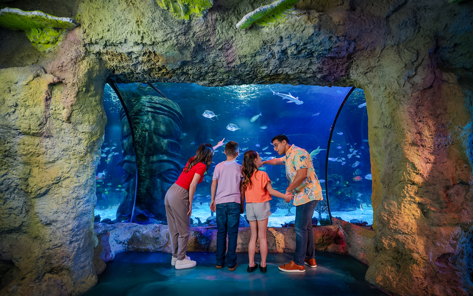 Guests observing marine life at Sea Life Orlando aquarium.