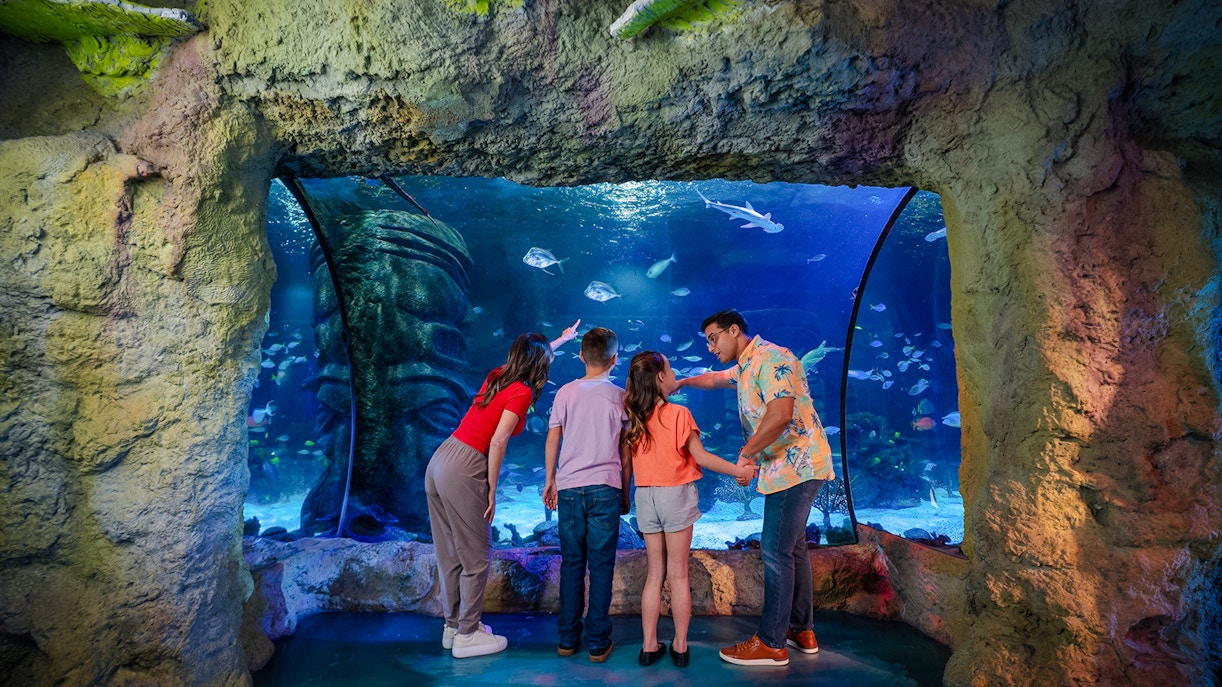 Guests observing marine life at Sea Life Orlando aquarium.