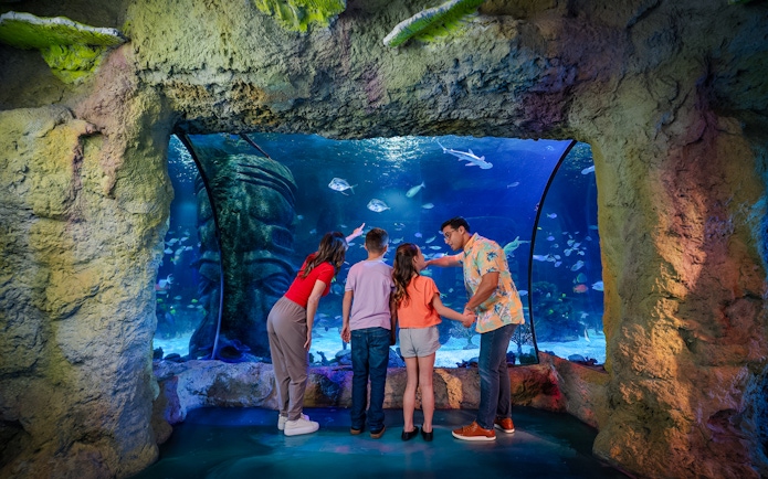 Guests observing marine life at Sea Life Orlando aquarium.