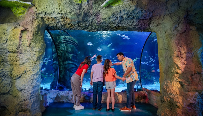 Guests observing marine life at Sea Life Orlando aquarium.