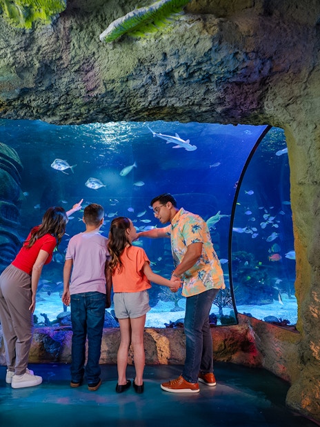 Guests observing marine life at Sea Life Orlando aquarium.