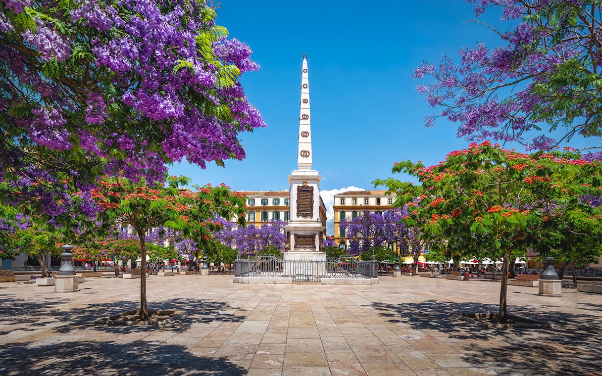 Plaza de la Merced with jacaranda trees and obelisk in Málaga, Spain.