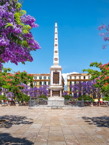 Plaza de la Merced with jacaranda trees and obelisk in Málaga, Spain.