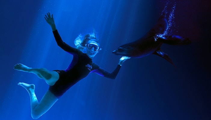 Little Blue Penguins Zone