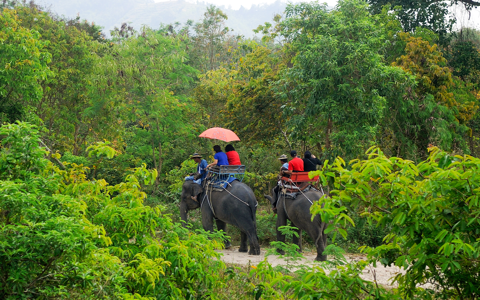 Campo degli elefanti di Damnoen Saduak