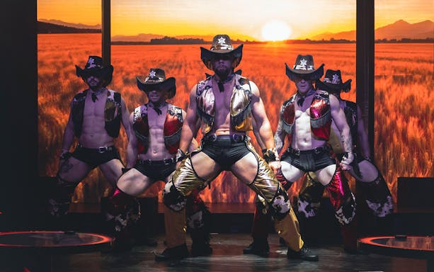 Performers in cowboy attire on stage at The Pink Flamingo Ripped Show.