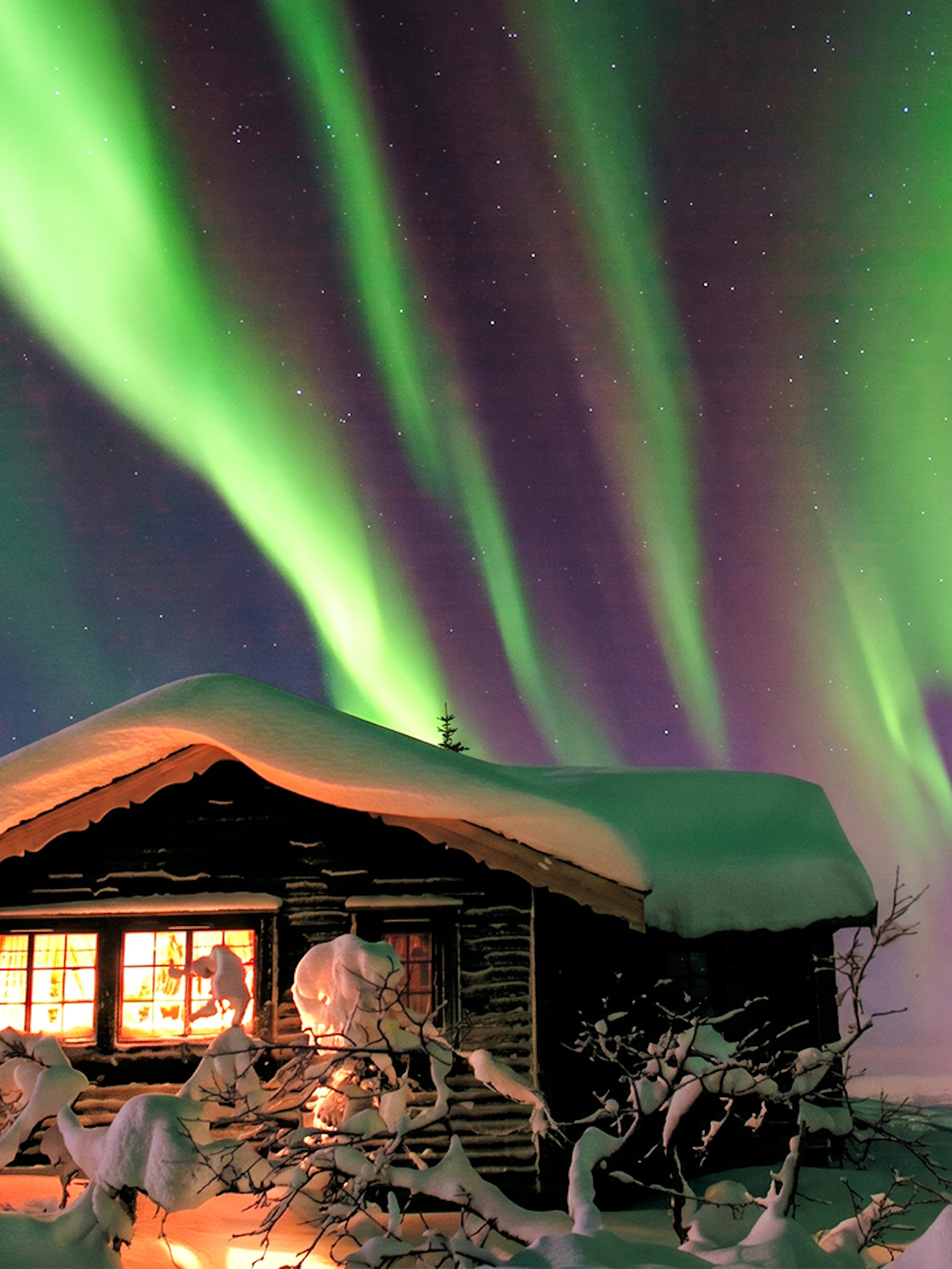 Northern Lights over snowy cabin at Chena Hot Springs, Alaska.