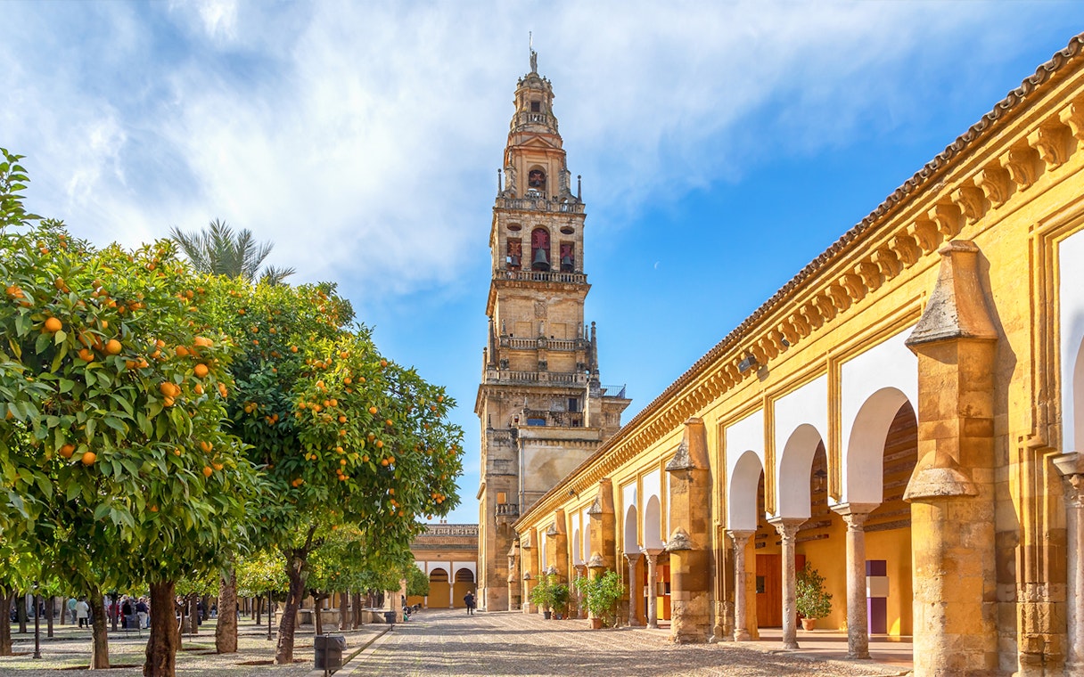 Patio de los Naranjos with orange trees and bell tower, Mosque Cathedral of Cordoba.