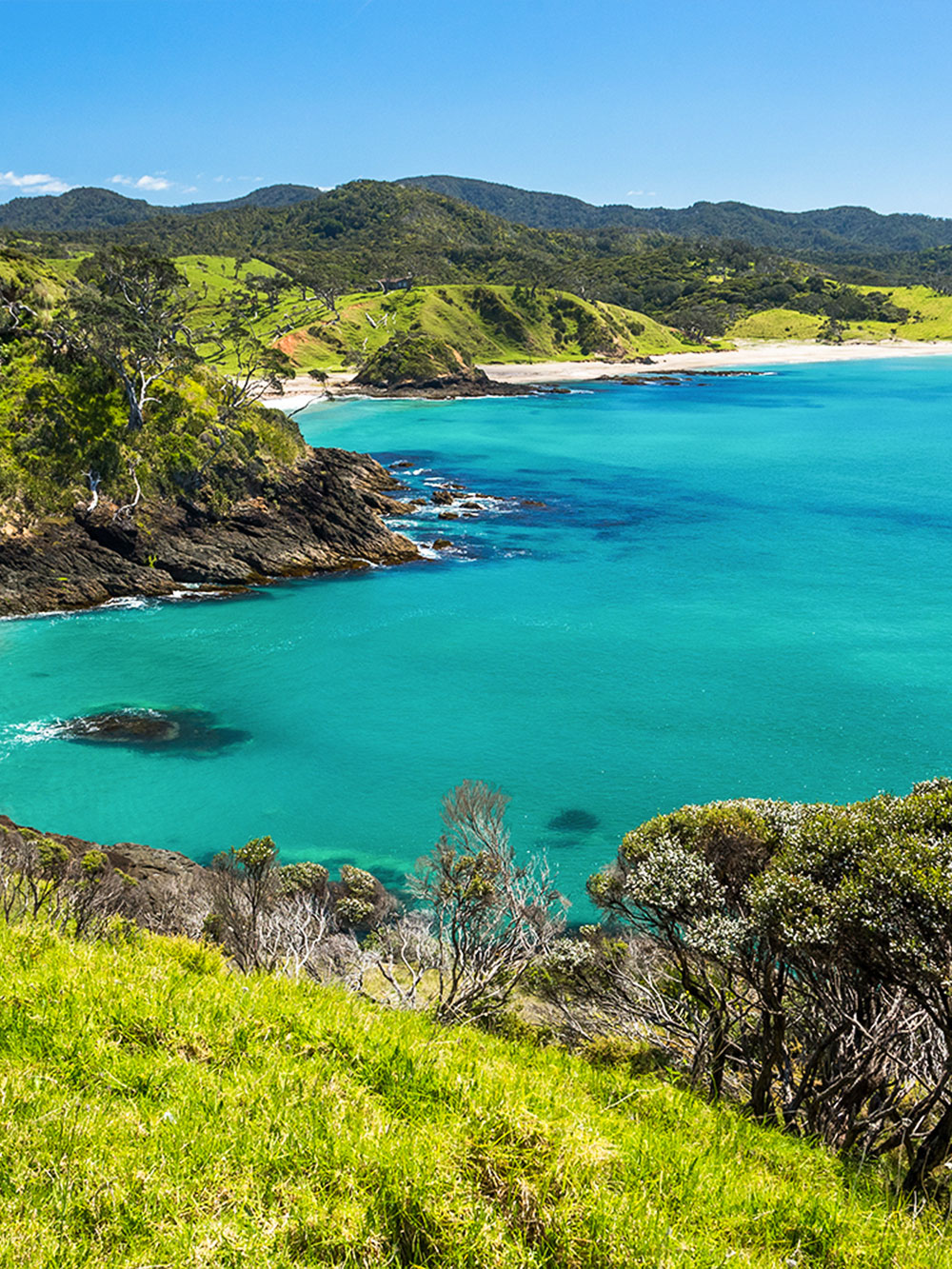 Wycieczki jednodniowe po Bay of Islands