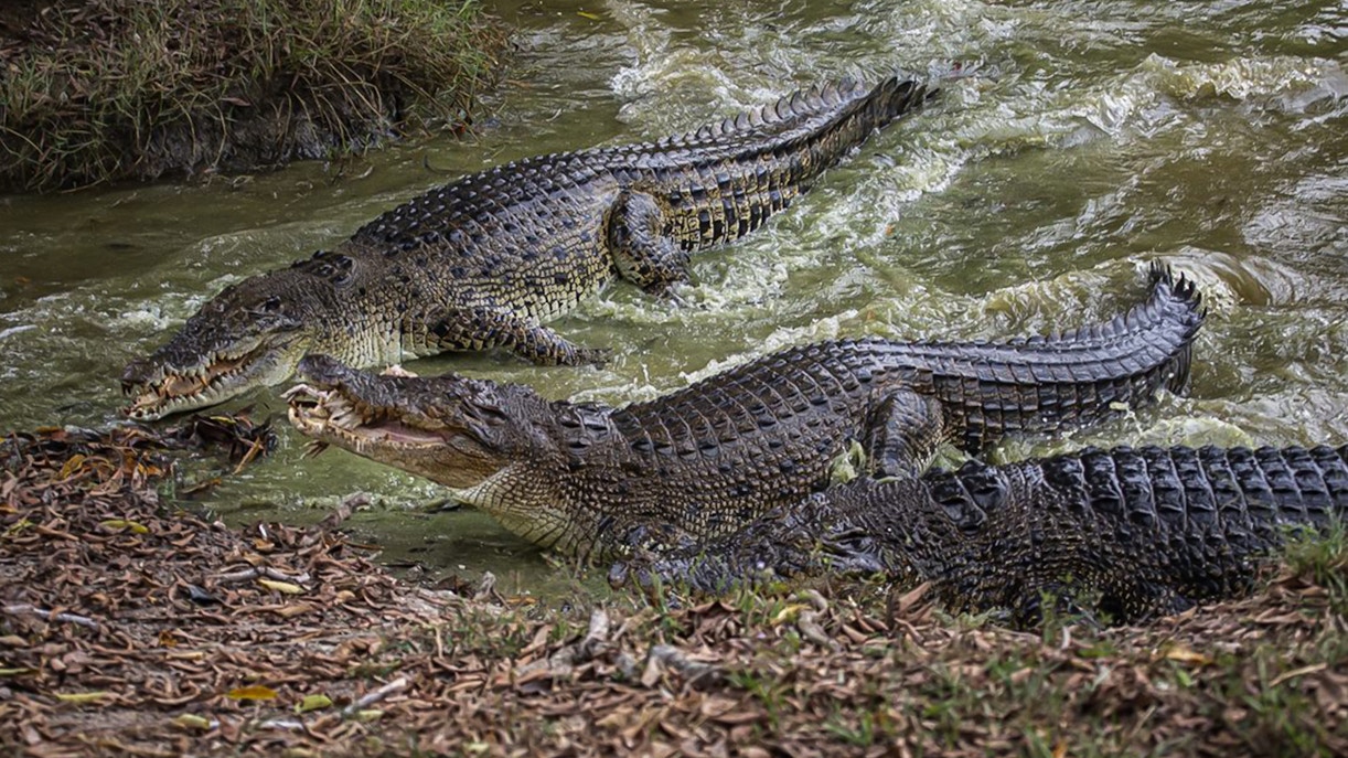 Plan Your Visit to SplashMania