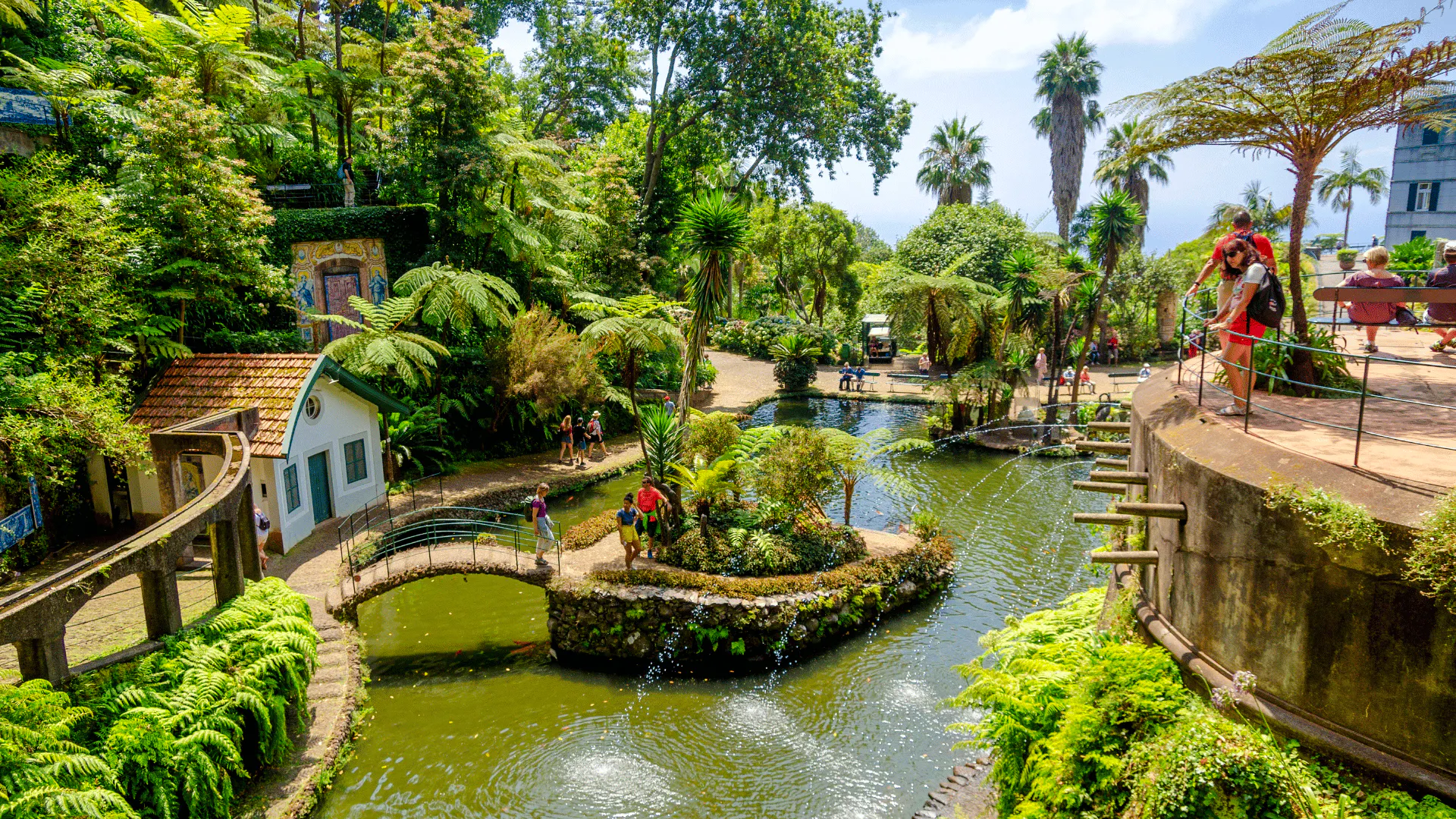 Botanical garden with ponds and lush greenery in Madeira, featuring visitors exploring pathways.