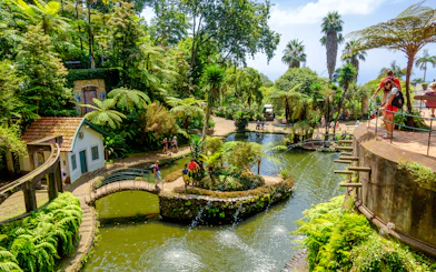 Botanical garden with ponds and lush greenery in Madeira, featuring visitors exploring pathways.