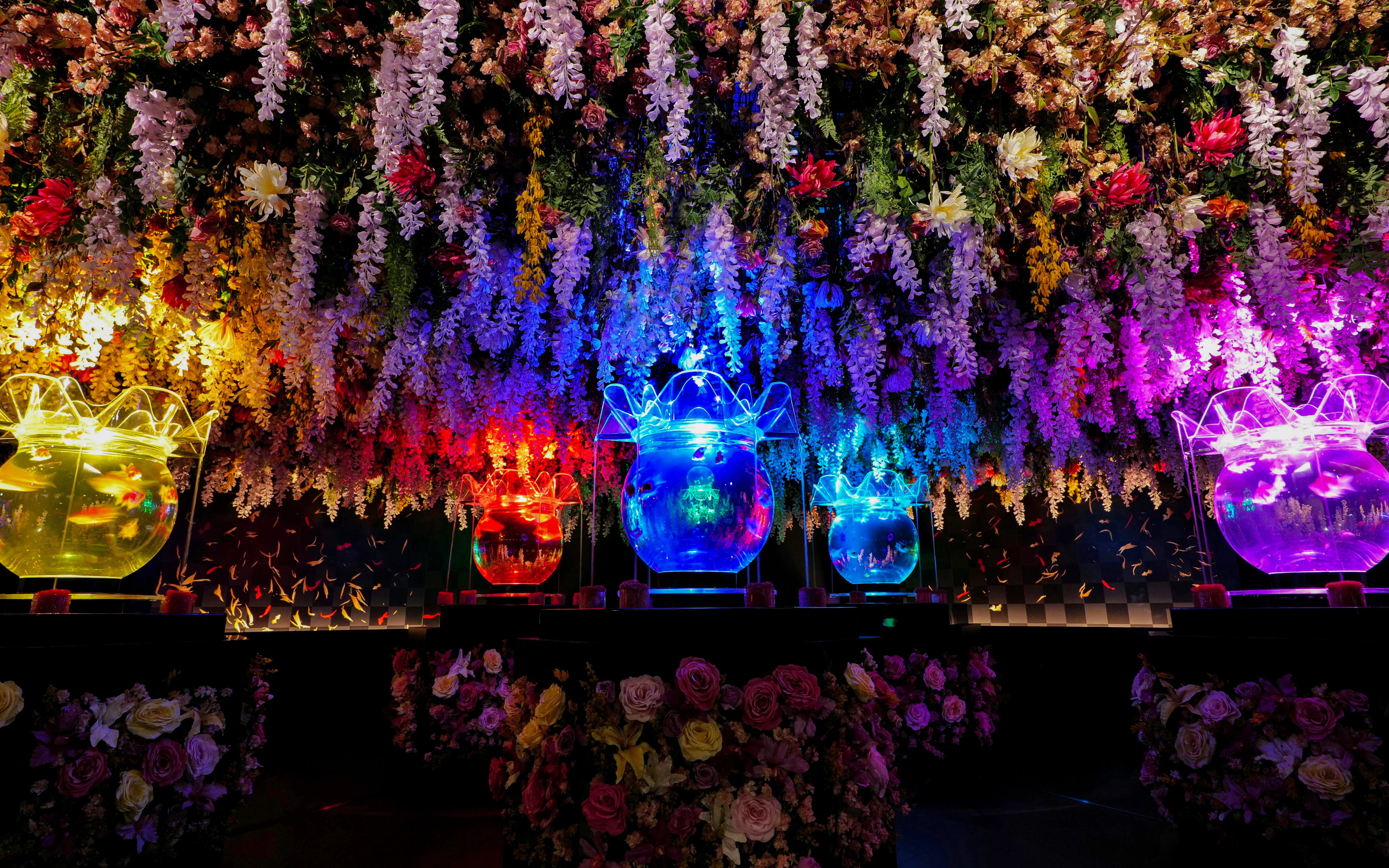 Colorful illuminated fish tanks with floral ceiling at Art Aquarium Museum GINZA.
