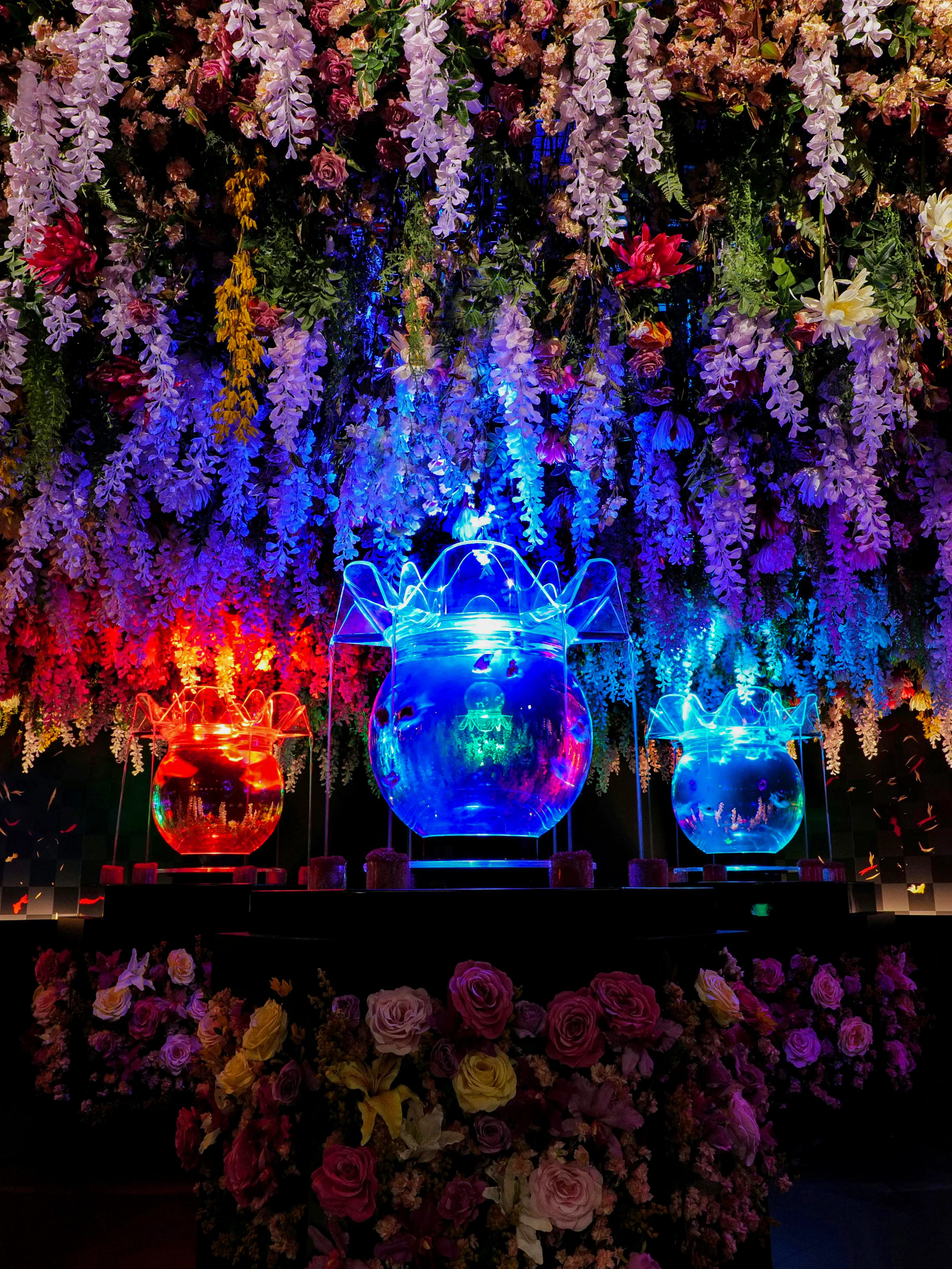 Colorful illuminated fish tanks with floral ceiling at Art Aquarium Museum GINZA.