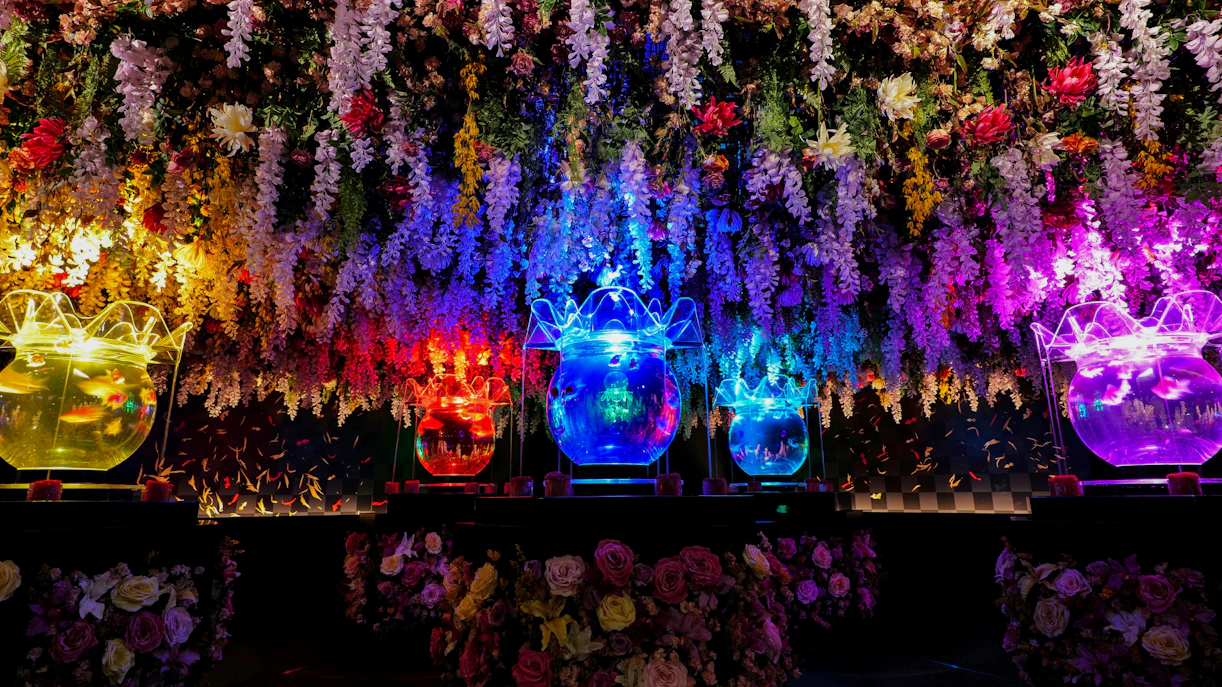 Colorful illuminated fish tanks with floral ceiling at Art Aquarium Museum GINZA.