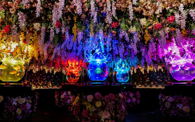 Colorful illuminated fish tanks with floral ceiling at Art Aquarium Museum GINZA.