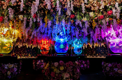 Art Aquarium Museum GINZA Skip-the-Line Pass: Couple & Family Deal (Flash deal for min. 2 guests)