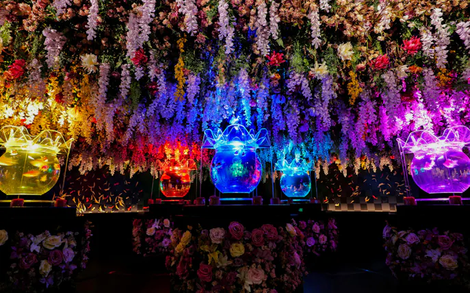 Colorful illuminated fish tanks with floral ceiling at Art Aquarium Museum GINZA.