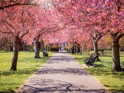 Greenwich Park Near Cutty Sark