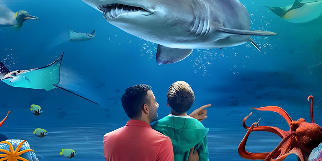 SEA LIFE Kelly Tarlton's Aquarium