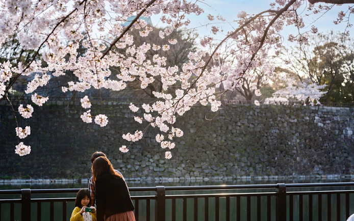Osaka Castle 3 hours Historical Walking Tour