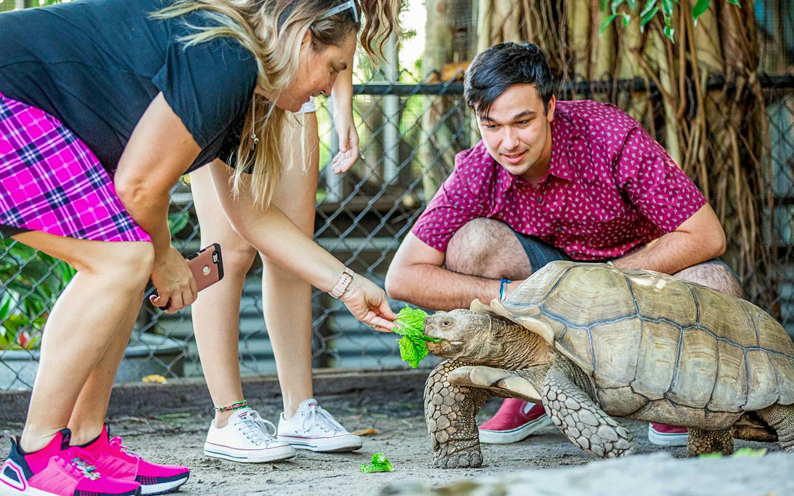 Visitors feeding a tortoise at Sawgrass Recreation Park Wildlife Show.