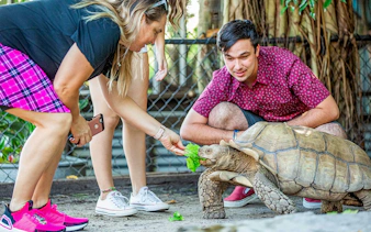 Visitors feeding a tortoise at Sawgrass Recreation Park Wildlife Show.