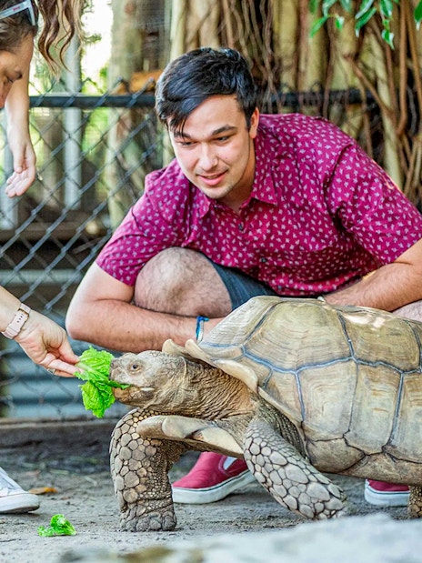 Visitors feeding a tortoise at Sawgrass Recreation Park Wildlife Show.